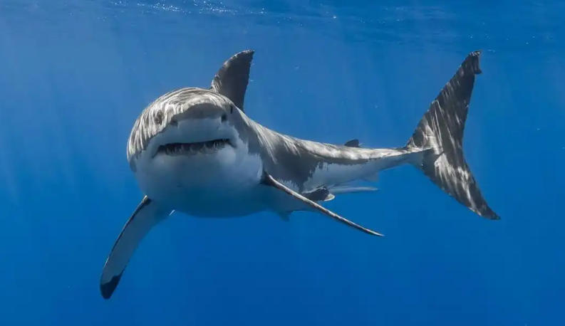 上海约克森机电设备有限公司轮播图1