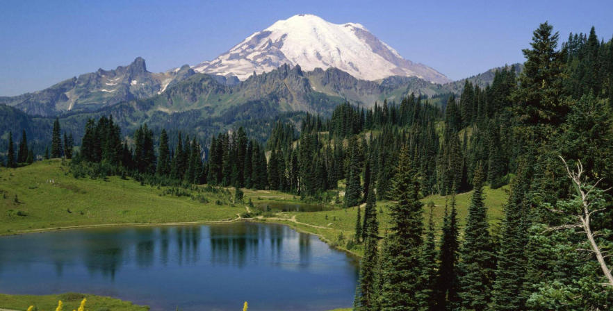 上海约克森机电设备有限公司轮播图3